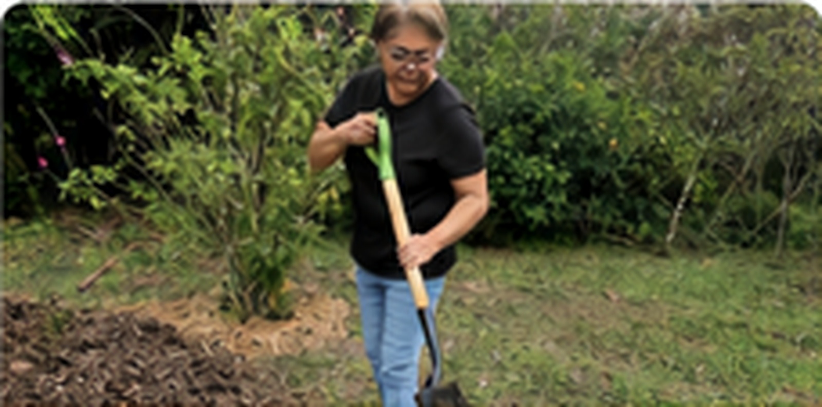 Community Gardens & Projects