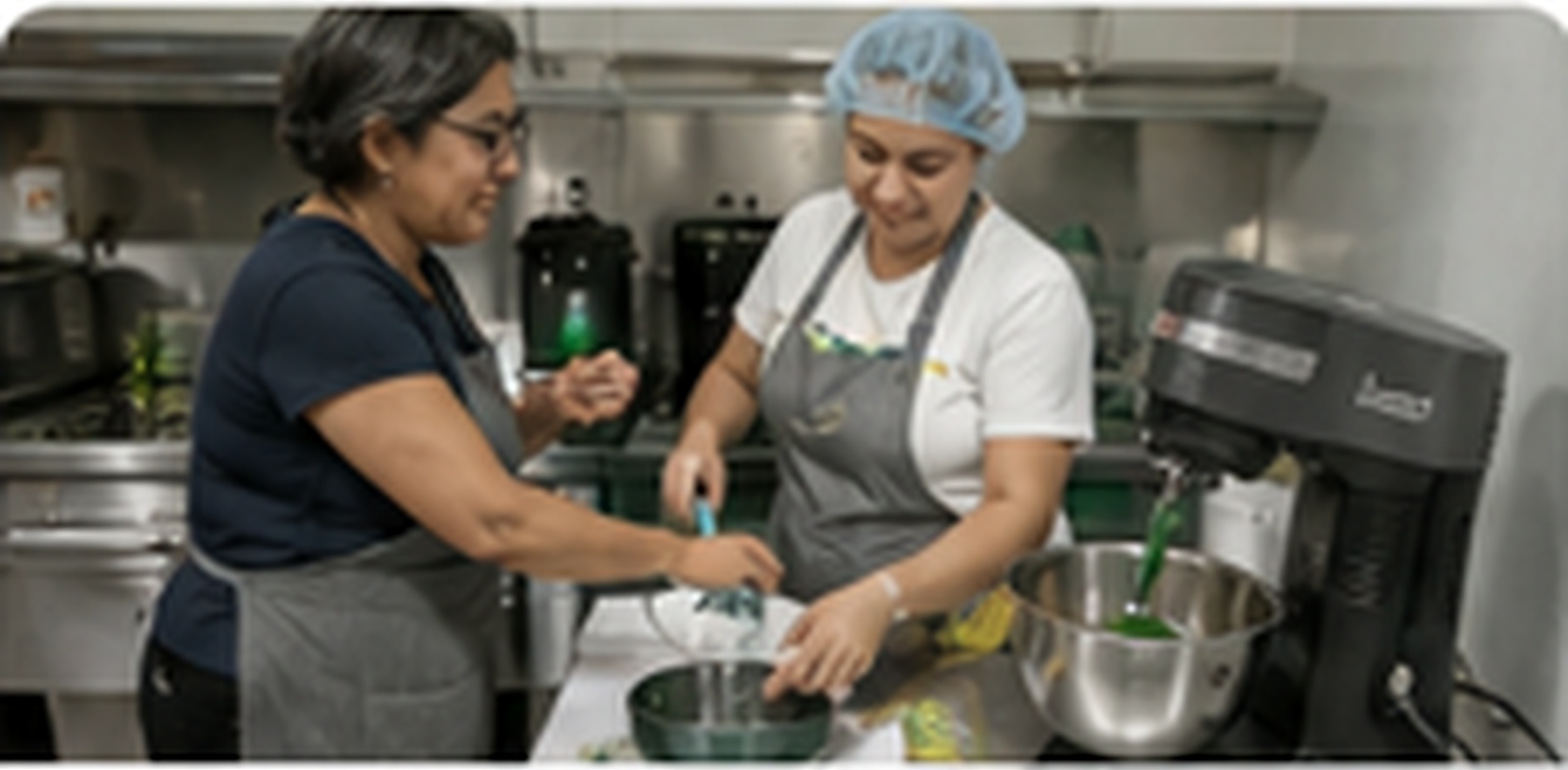 Vocational Skills Development